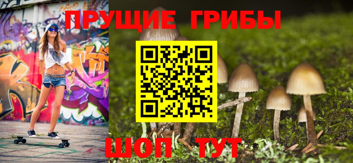 Красноармейск  Псилоцибиновые грибы Magic Shrooms  Вход с VPN 